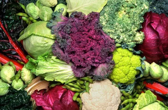 cruciferousVegetables 157439382 770x533 1