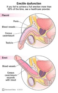 10035 erectile dysfunction