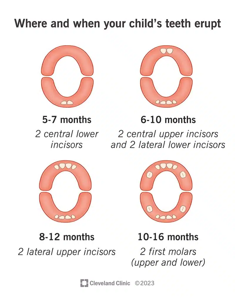 the-dos-and-don-ts-of-safe-formula-feeding