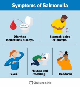 15697 salmonella