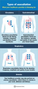 23080 auscultation