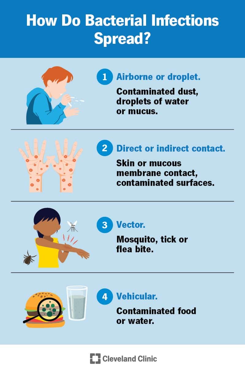 Bakteriaalsed infektsioonid levivad otsese või kaudse kontakti, tilkade, putukahammustuste, saastunud toidu või vee ja muu kaudu.