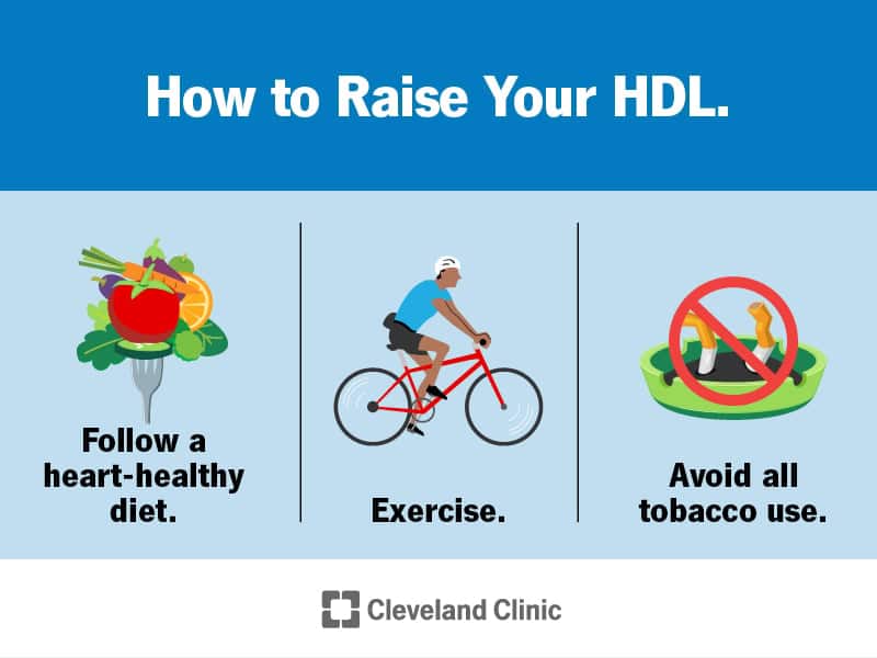 24395 hdl cholesterol