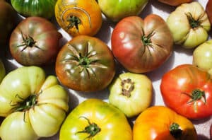 HeirloomTomatoPeachSalad 574141471 770x533 1 650x428