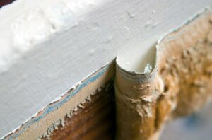 LeadPoisoning 92269769770x533 1 650x428