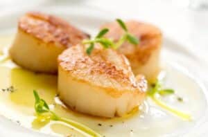 Scallops 650x428