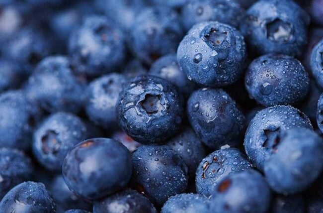 Vitamin K Blueberries 157197337 770x533 1