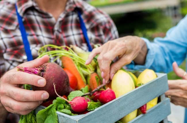 farmersMarket 539355554 770x553 1