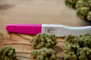 pregnancyMarijuana 638310078 770x553 650x428