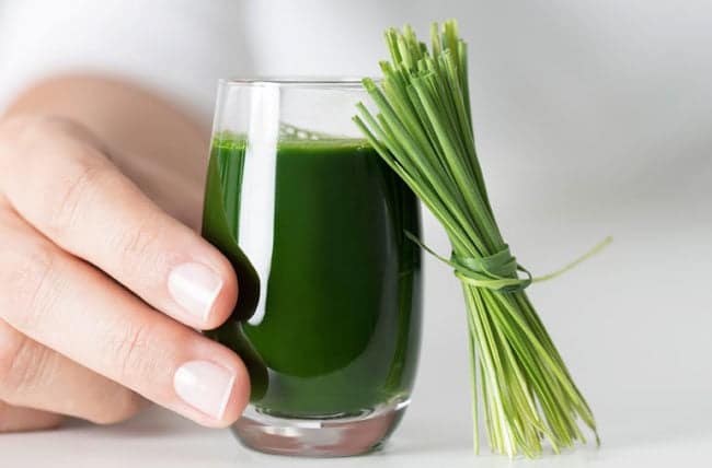 wheatgrassJuice 1128049579 770x533