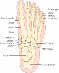 15841 stress fractures