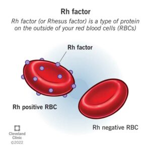 21053 rh factor