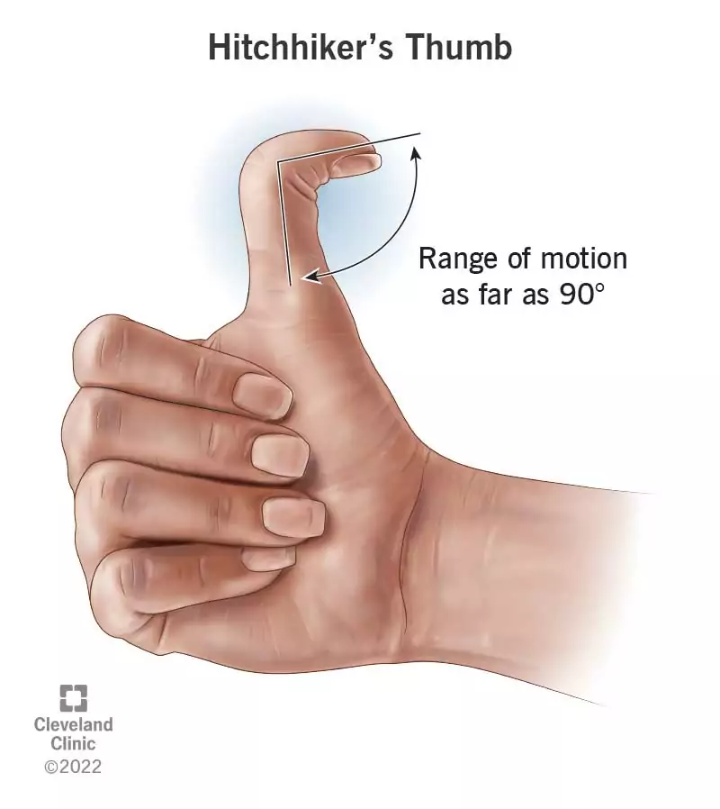 23118 hitchhikers thumb