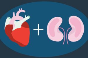 heartKidneyConnection 1068870068 770x533 1 650x428