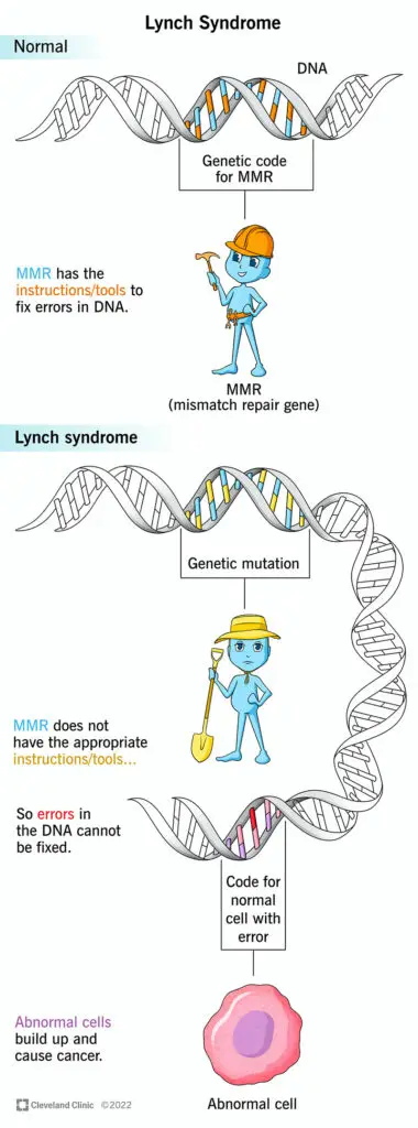 1705369159 17195 lynch syndrome