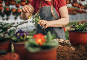 CC HE woman working on flowers