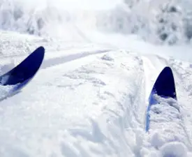 Skis in fresh snow