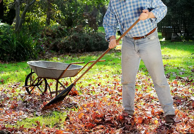 gardeningFallHealthHazards 157615496 770x533 1