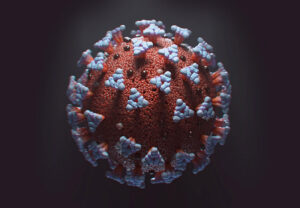 1708824739 21214 coronavirus covid 19