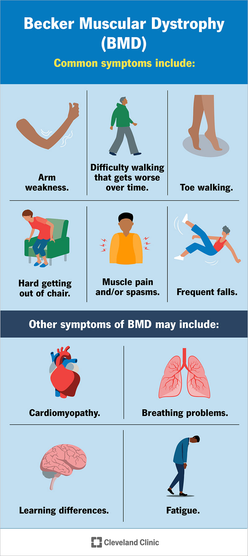 BMD sümptomiteks on madal harjutuste taluvus, kõndimisraskused, väsimus, lihasvalu ja -spasmid, kardiomüopaatia ja palju muud.