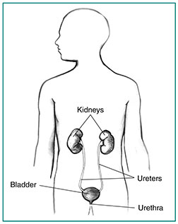 5995 vesicoureteral reflux