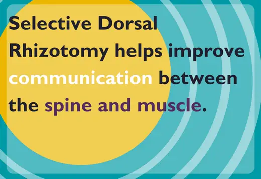 selectivedorsalrhizotomycontent