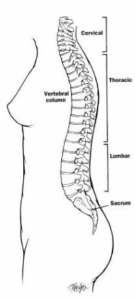 figure1350196.ashx