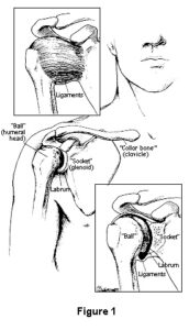 figure1shoulderinstability.ashx