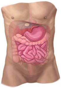 hiatalhernia