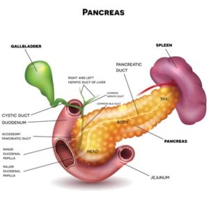 pancreaticcanceristock653533198