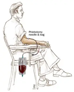 phlebotomy graphic